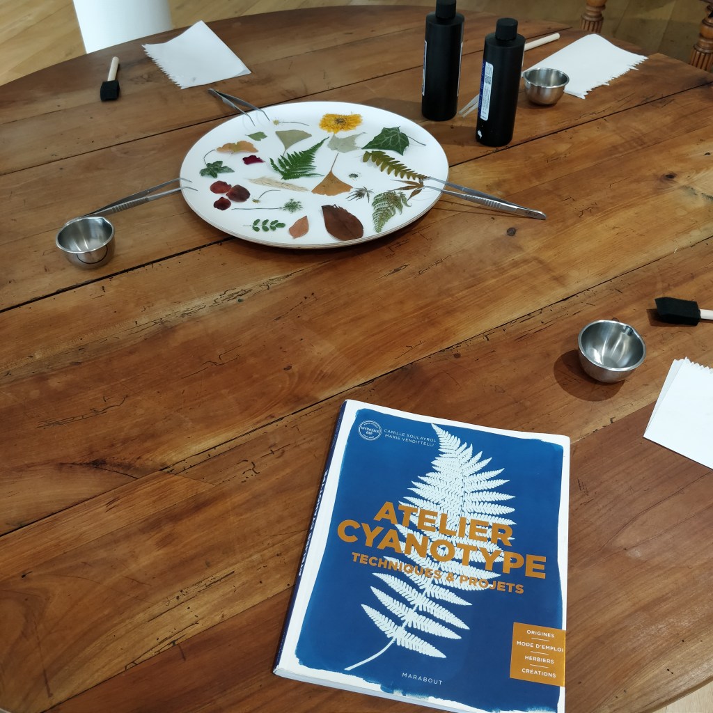 All the cyanotype material being ready