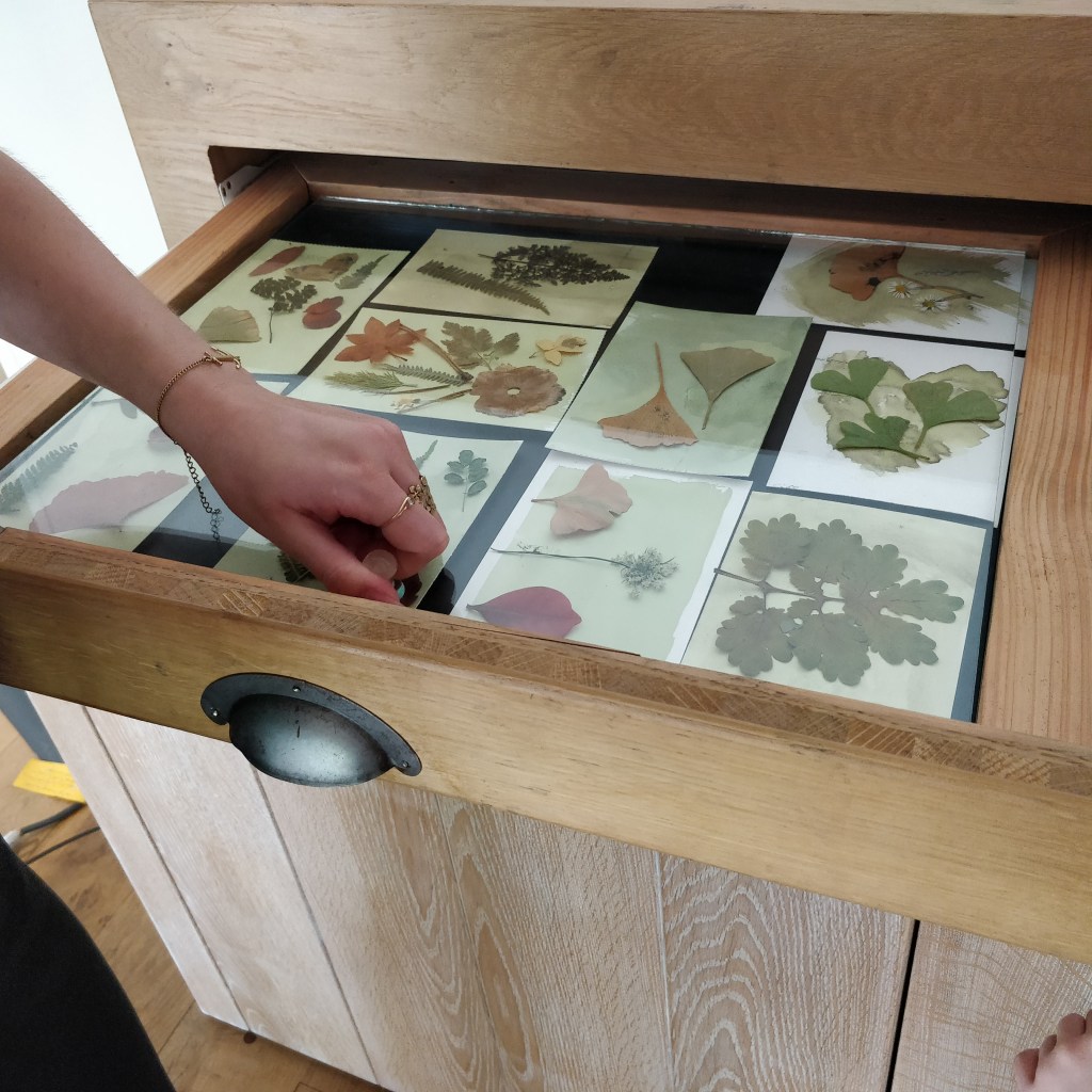 Several floral arangements placed under a glass in the heading machine